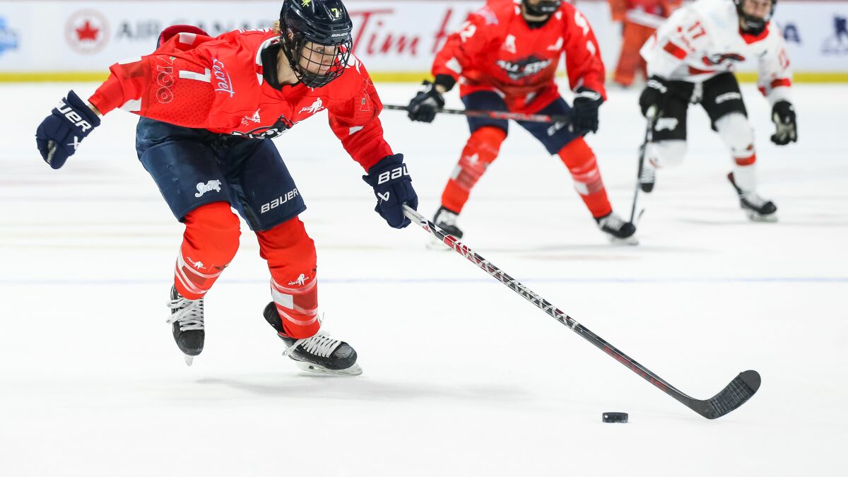 True Hockey Sales -True Hockey Sales 2